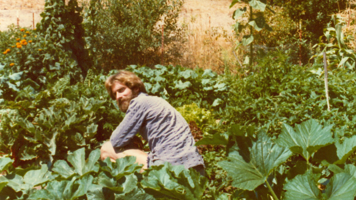 Amy's man in vegetable patch