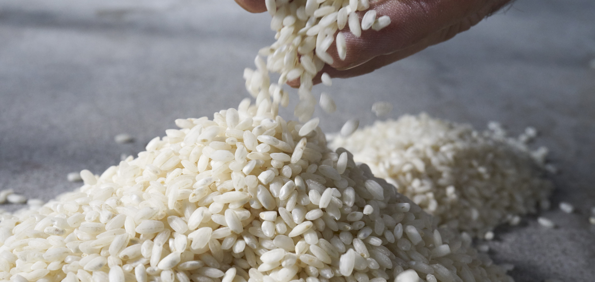 Amy's Kitchen Amy's Mushroom Bisque with Porcini